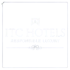 images__2_-removebg-preview